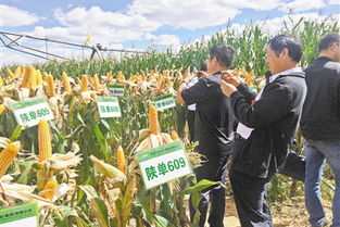 榆林市人民政府