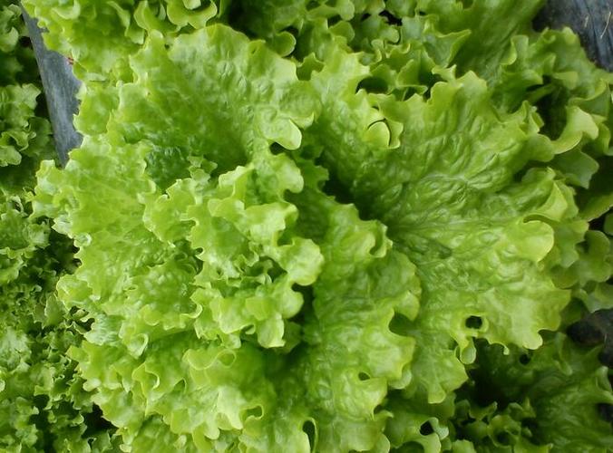 振峰億城  6年 所屬行業:  發貨地址: 信息編號:66553705 產品價格