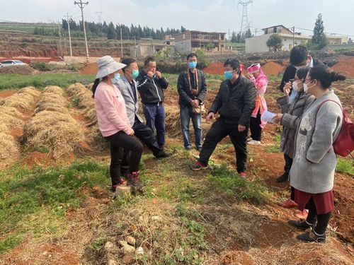 試驗站站長,云南省農業科學院農業環境資源研究所付利波研究員一行在