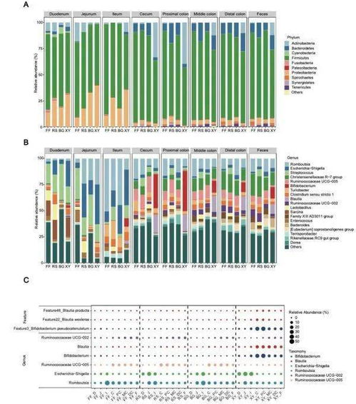 科研進展 中國農大王軍軍教授團隊揭示木聚糖緩解豬膳食纖維缺乏機制