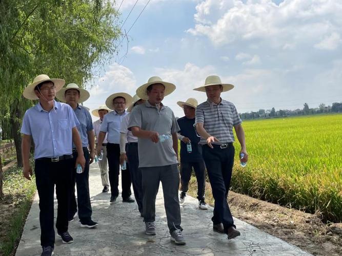 安徽省農業科學院-水稻所