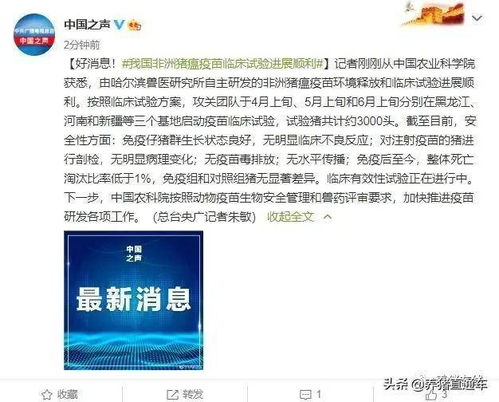 黑龍江 河南 新疆非瘟疫苗臨床試驗進展順利