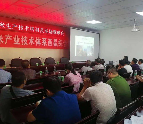 越西開展青貯玉米生產技術培訓