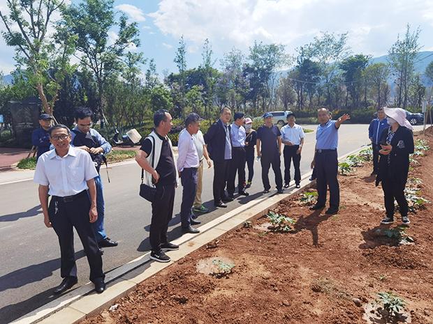 通過此次研討和觀摩驗收會,云南省農業科學院經濟作物研究所將結" "