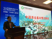 中外專家共同把脈信陽茶產業