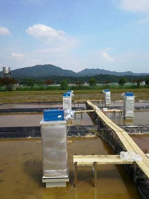 圖為中國農業科學院農業環境與可持續發展研究所試驗田中的半自動甲烷