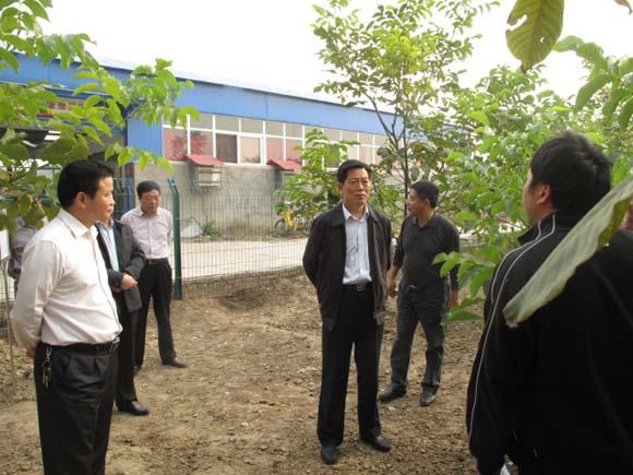 市人大副主任趙永貴到市農科所調研--濟源市農業科學院歡迎您!