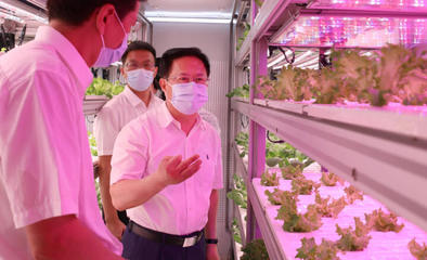 鄭柵潔調研省農科院:農業科技創新一定要強化市場意識效率意識