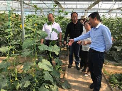 [宿遷]宿遷市農業農村局科技人員蒞臨宿遷研究院考察交流