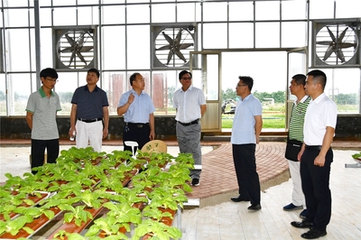 廣西大學農牧產業發展研究院專家到廣西現代農業技術試驗站調研指導