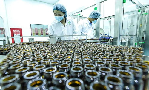 科技賦能 植物工廠 張掖農特產品提質增效鳳凰網甘肅 鳳凰網