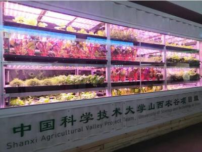 中部崛起勢正勁丨太谷變身農谷,轉型發展正當時