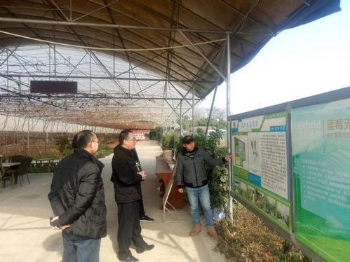 四川省農業科學院 分析測試中心 院科技處黨支部調研新型農業經營主體發展情況
