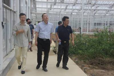 廣東省農(nóng)業(yè)農(nóng)村廳副廳長馮彤來創(chuàng)世紀(jì)調(diào)研