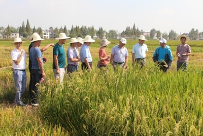 市農(nóng)業(yè)農(nóng)村局機(jī)關(guān)開展“不忘初心、牢記使命”主題教育