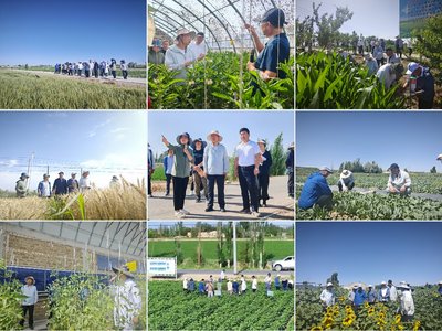 觀摩檢查抓落實(shí),查缺補(bǔ)漏促提升