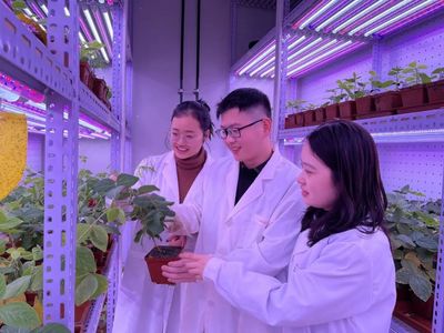 重磅!河南大學抓好“這件大事”