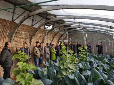 邢臺現代職業學校