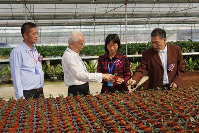 神舟帶回的太空蔬菜更好吃?江門“飛天”種子專業戶告訴你真相