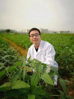 社員王學路科研成果入選2021年度“中國高等學校十大科技進展”