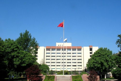 高考600分能報哪些985大學