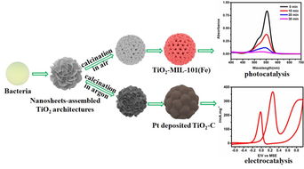 華中農(nóng)大近期科學(xué)研究進(jìn)展