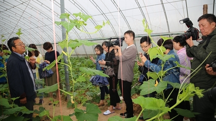 楊凌管委會(huì)網(wǎng):旱區(qū)主流媒體走進(jìn)楊凌 感受農(nóng)城20年發(fā)展變化(圖)