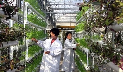 國(guó)務(wù)院一周政策[05.15-05.21]