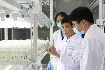 江蘇省"最美科技工作者"丨張紹鈴:一攬子問到底的中國(guó)"梨"首席