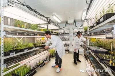 澳洲留學資訊|澳洲農業發展新契機--亞歷山大,還是去澳洲經營農場吧!