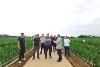中國農業大學國家農業科技戰略研究院專家帶隊考察市農科院“藏糧于技”戰略實施情況