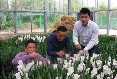 新春走基層:春耕到 育種忙