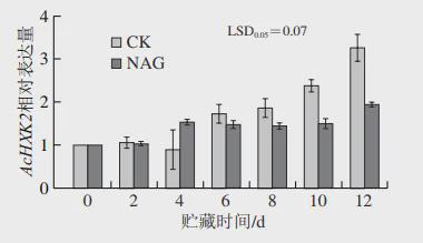 食品科學 江西農業大學曾教科副教授等 獼猴桃果實后熟軟化過程中己糖激酶基因的表達分析