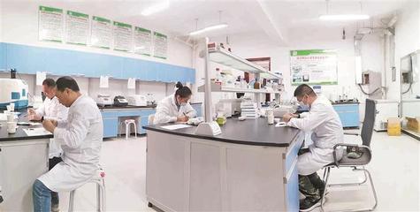 新疆塔里木河種業(yè)股份20年改革發(fā)展紀實:做強農業(yè)“芯片” 當好種業(yè)“龍頭”