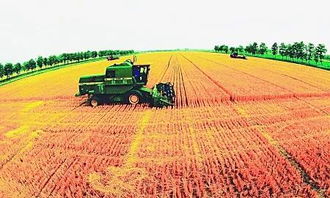 邀請函 農業(yè)對外投資合作暨 一帶一路 國家雙向投資促進會