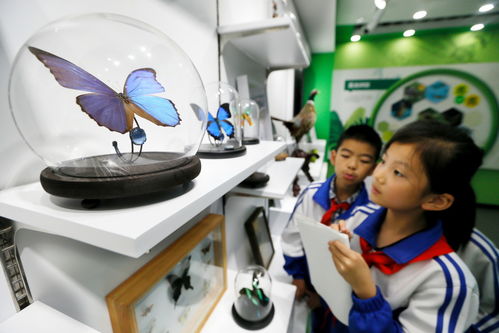 教育 科普課堂 感受生物多樣性