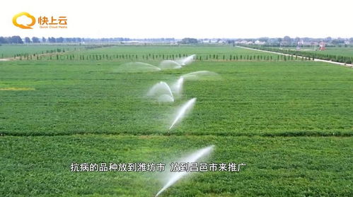 守好三農壓艙石 推動農業(yè)生產穩(wěn)中有進