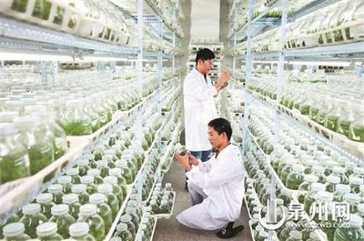 晉江:持續(xù)創(chuàng)新轉型 繼續(xù)扛旗領跑