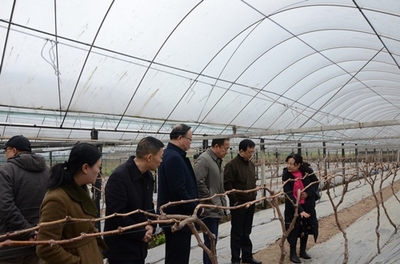 李伊林帶隊到四川農業(yè)大學崇州現(xiàn)代農業(yè)研發(fā)基地調研農業(yè)科技創(chuàng)新驅動--加強市校合作 不斷推進雅安農業(yè)高質量發(fā)展