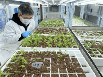 圖說杏林|湖北中醫(yī)藥大學人以奮斗姿態(tài)開啟高質量發(fā)展新征程