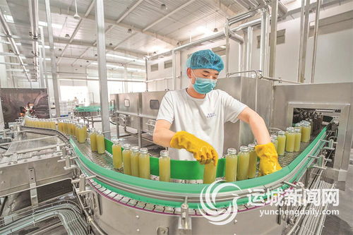 平陸縣元氣嶺 山西 農業(yè)科技開發(fā) 工作人員在試生產果汁