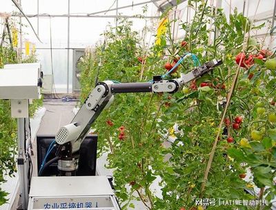 工程機(jī)器人國內(nèi)外發(fā)展概況