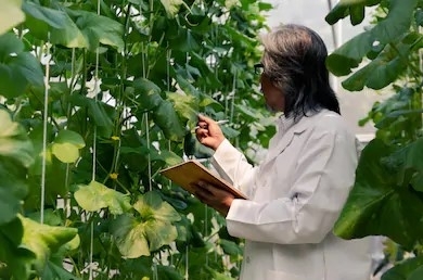 2019年戰(zhàn)略性新興產(chǎn)業(yè)和未來產(chǎn)業(yè)發(fā)展專項(xiàng)資金申請指南