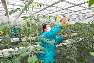 加快農(nóng)業(yè)農(nóng)村現(xiàn)代化!2021年鹽城市糧食總產(chǎn)142.96億斤