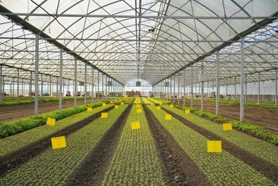 區(qū)領(lǐng)導(dǎo)調(diào)研農(nóng)業(yè)科創(chuàng)谷推進(jìn)工作