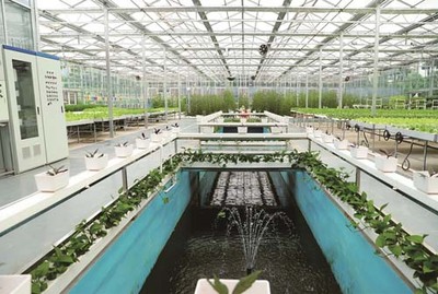 省農(nóng)科院鄂州基地:感受現(xiàn)代農(nóng)業(yè)發(fā)展底氣