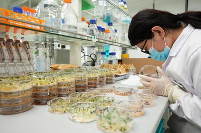 聯(lián)播+|抓好春耕備耕 總書記開出"良"方