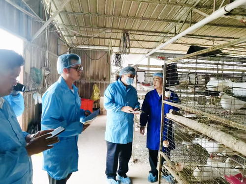 2024年海南省 三支隊伍 基層服務團走進白沙