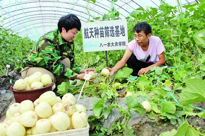 “十三五”開局之年經濟社會發展平穩