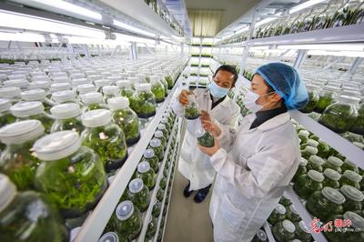 69農業2021發布的文章